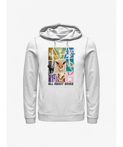 Festival Price Pokemon All About Eevee Hoodie $14.77 Hoodies