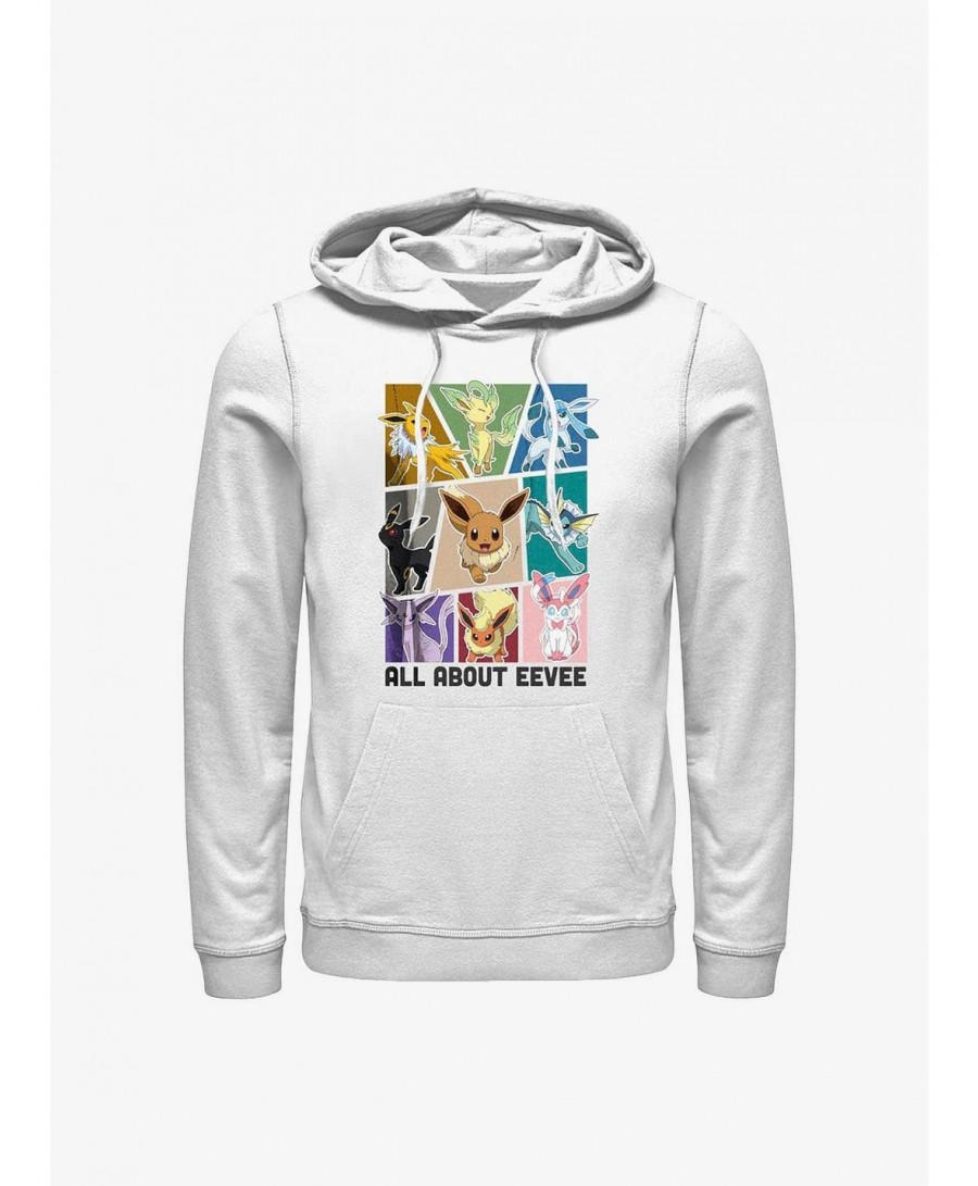 Festival Price Pokemon All About Eevee Hoodie $14.77 Hoodies